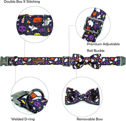 Lionheart glory Halloween Dog Collars