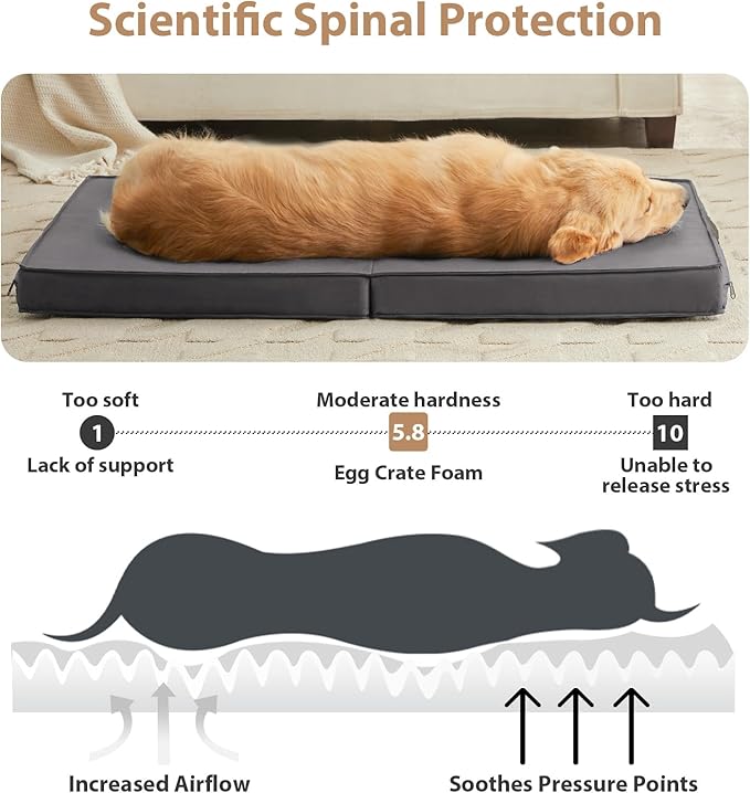 RRPETHOME Waterproof Outdoor Dog Beds Large Sized Dog