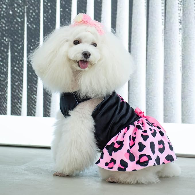 CuteBone Little Miss Sassy Pants Dog Leopard Print CVA15L-D