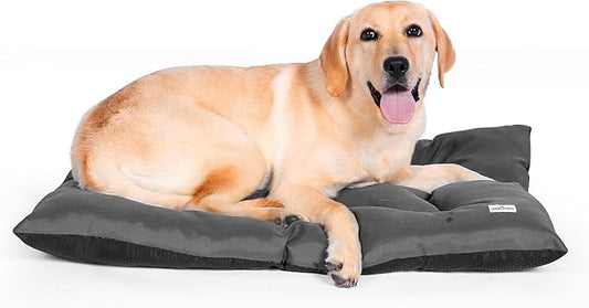 D'ARBY SUPPLY Dog Crate Pad Bed Mat 31" by 22"