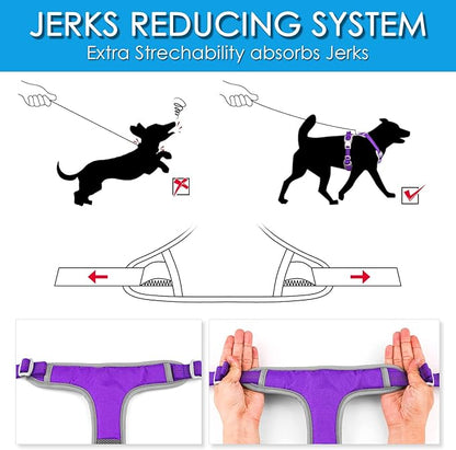 ThinkPet No Pull Harness Breathable Sport Harness with Handle-Dog Harnesses Reflective Adjustable for Medium Large Dogs,Back/Front Clip for Easy Control M Neon Purple