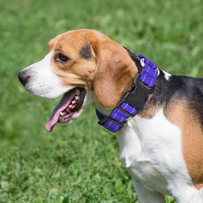 Reflective Martingale Dog Collars. Dog Collar with Quick