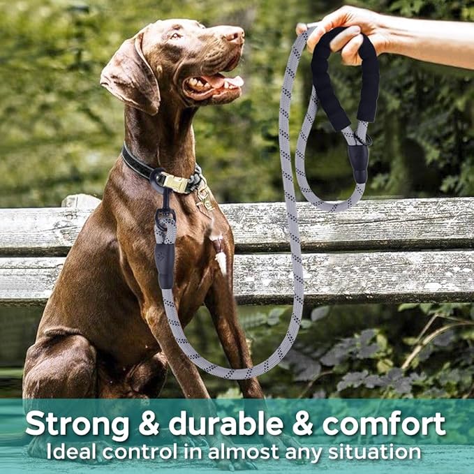 COOYOO Dog Leash 5/6 FT with Comfortable Padded