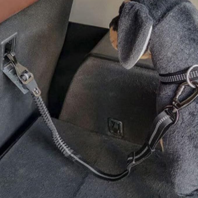 Dog Seatbelt