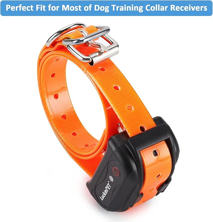 Replacement Collar Strap 3/4',Adjustable,Metal Buckled,Waterproof Pack2)