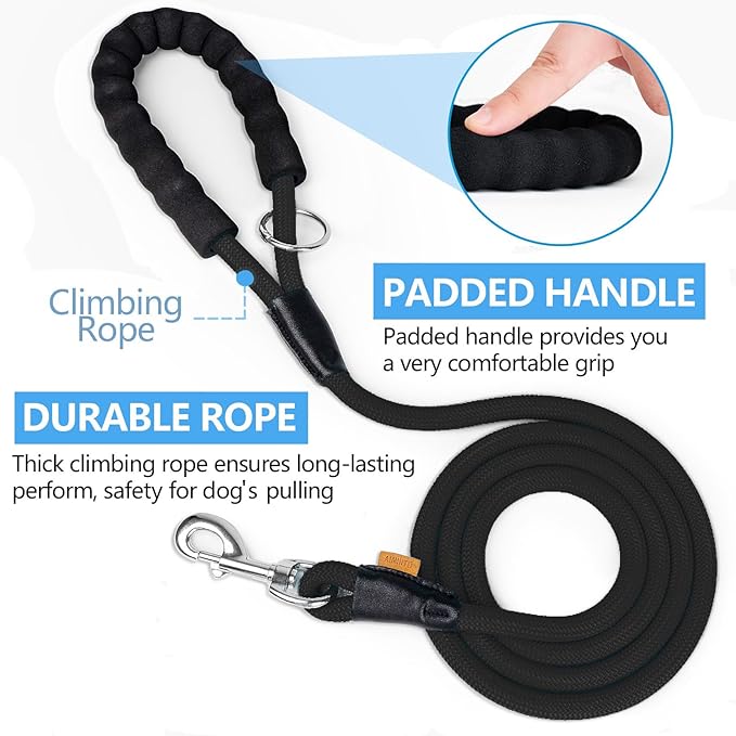 Dog Leash ((1/3") - 6FT, Black)