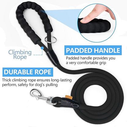 Dog Leash ((1/3") - 6FT, Black)