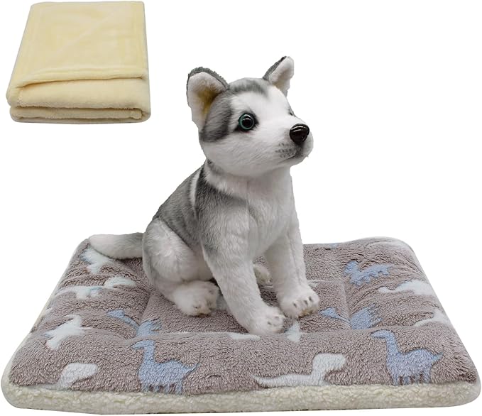 Cat Dog Bed Mat & Blanket