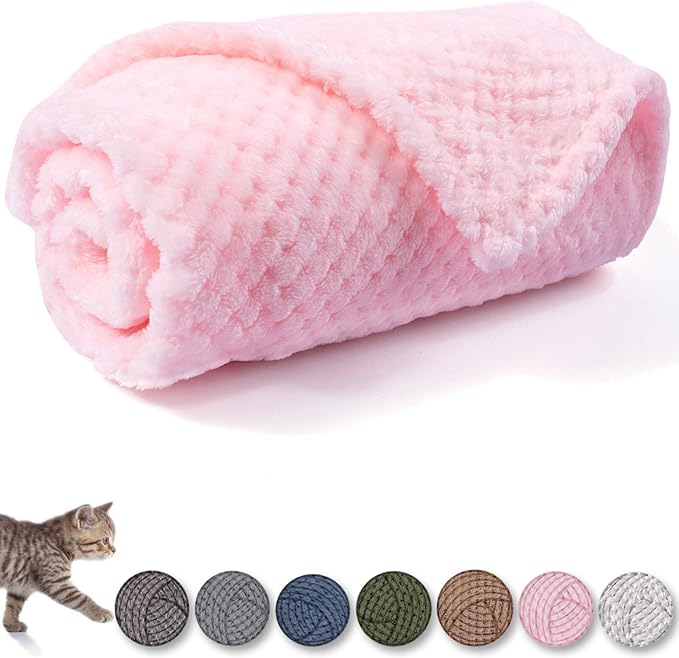 Dog Blanket or Cat Blanket or Pet Blanket (L/40" x 48", Bright