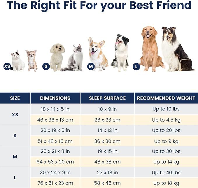 Miguel Washable Cat Beds for Indoor Cats with Removable Cushion 18 Inch