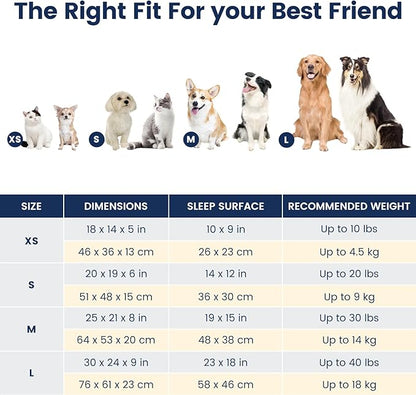 Miguel Washable Dog Bed with Removable Cushion for Medium Small Dogs 30 Inch