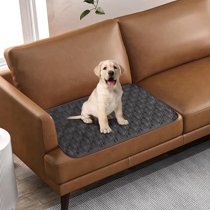 RBSC Home Waterproof Sofa Cover Dog Bed Cover