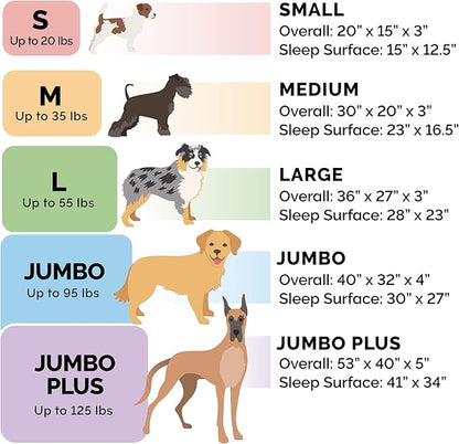 Furhaven Orthopedic Dog Bed for Medium/Small Dogs w/ Removable Bolsters & Washable Cover 35 lbs