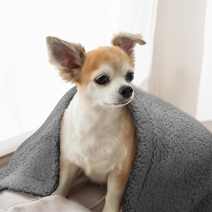 furrybaby Dog Blanket Soft Dog Blankets for Large Dogs Puppy Essentials Washable Sherpa Fleece Cat Blanket 32x40 Inches for Bed Furniture Couch Sofa (Medium