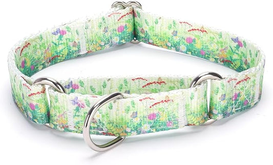 Martingale Dog Collars Green1)