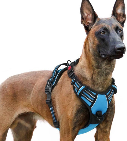 rabbitgoo Dog Harness for Large, No Pull Pet Harness with 3 Buckles, Adjustable Soft Padded Dog Vest with Instant Control Handle, Easy Walking Reflective Pet Vest for Extra Large Dogs, Sky Blue, XL