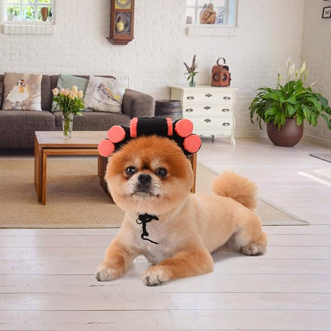 Funny Dog Cat Cosplay Wig