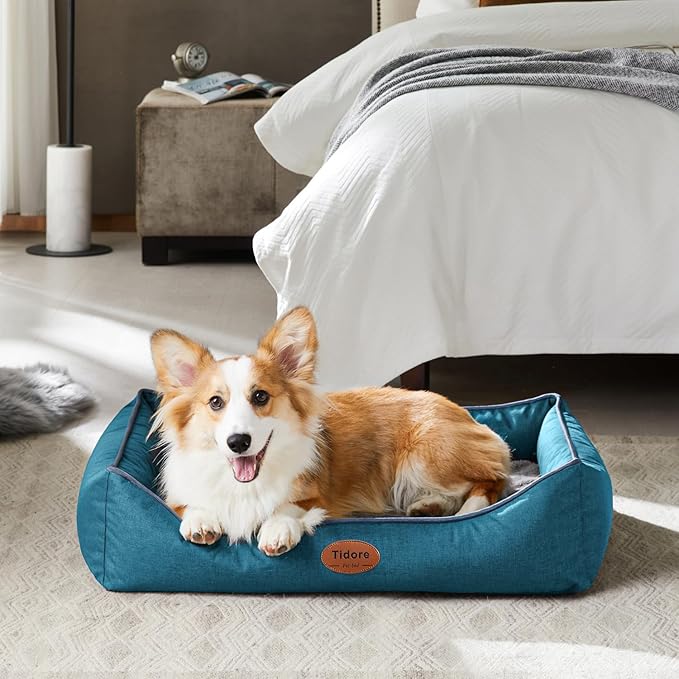 Orthopedic Dog Beds for Medium Large Dogs