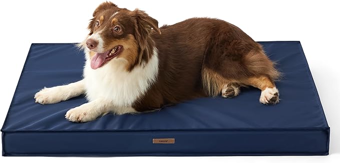 Lesure Waterproof Dog Bed for Medium Dogs