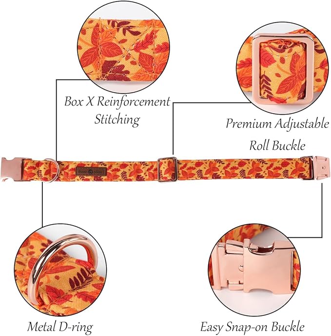 Lionet Paws Dog Collar with Bowtie 16-24in