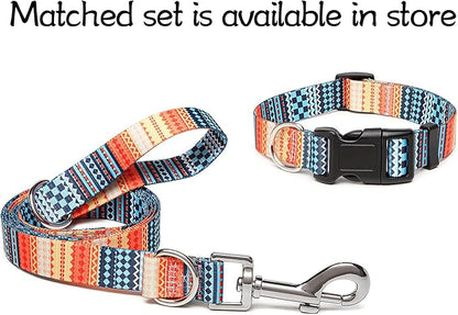 Adjustable Dog Collar with Patterns