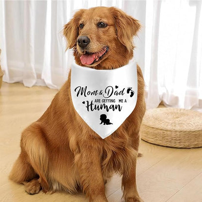 Mom&Dad are Getting Me a Human Dog Bandanas, Pregnancy Announcement Dog Bandanas, Pregnancy Reveal Ideas, Gender Reveal Photo Prop Pet Scarf Accessories (White)