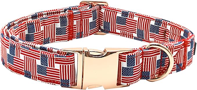 Independence Day Dog Collar