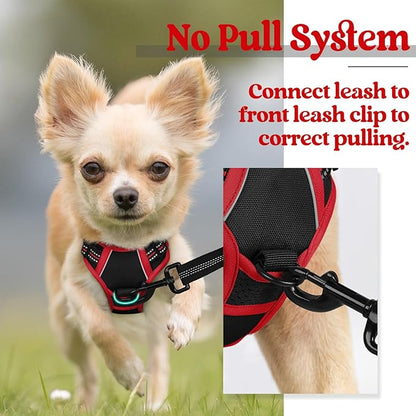 rabbitgoo Dog Harness 2 Leash