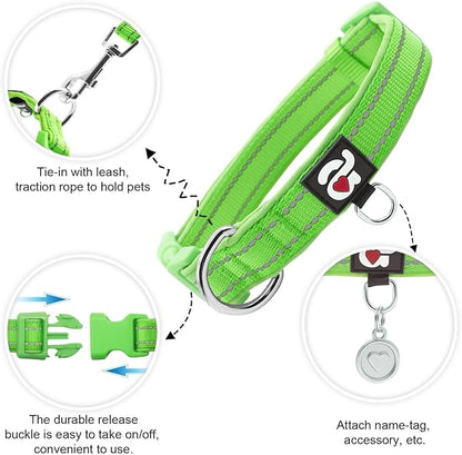 azuza Reflective Dog Collar