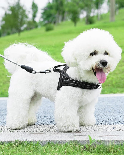 Black Small Dog Harness No Pull Dog Harness for Small Dogs Puppy Harness with Breathable Mesh Padded Adjustable Reflective Lightweight Escape Proof Dog Harness Small Sized Dog Easy Walk