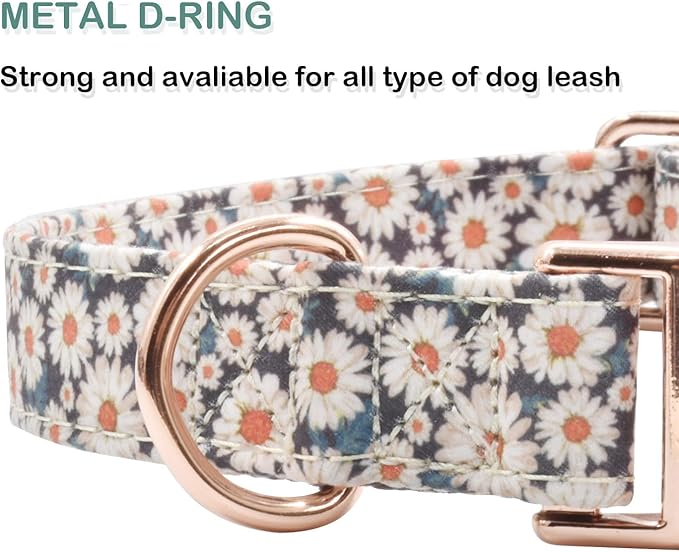 Cotton Dog Collar Metal Buckle Daisy Summer (01-Daisy, S(10-14in))