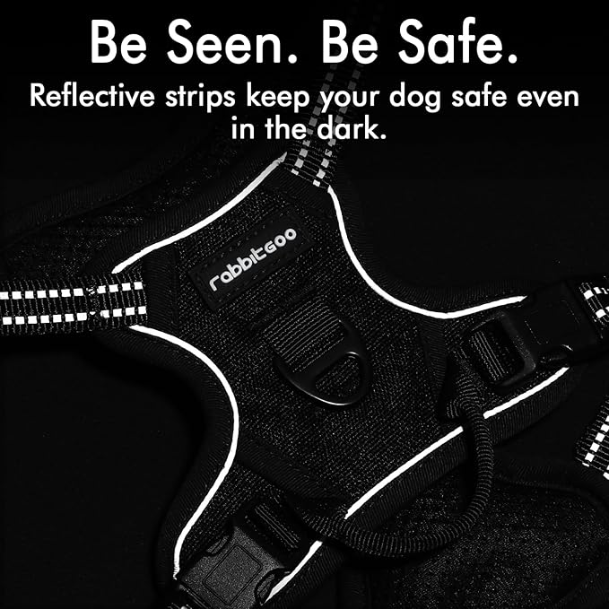 rabbitgoo Dog Harness 2 Leash