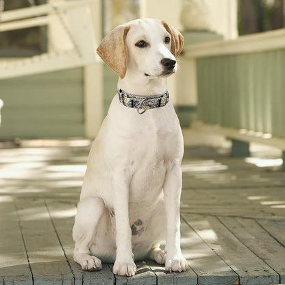 Martingale Dog Collars