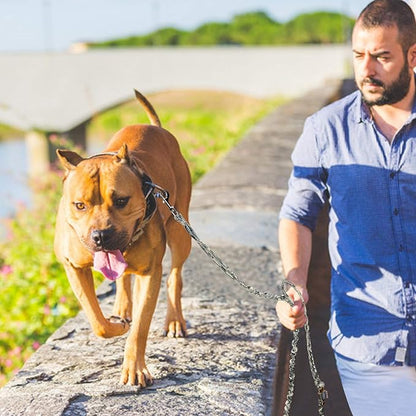 AUROTH Dog Leash Large Dogs 6FT, 2