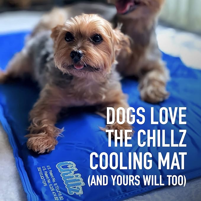 Hugs Pet Products Chillz Gel Mat