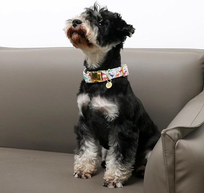 Dinosaur Summer Cotton Dog Collar with Metal Buckle