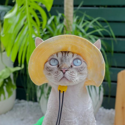 Pet hat with Ear Holes Sunscreen Baseball Cap Suitable for Small and Medium-Sized Dogs Outdoor Climbing hat in Summer Pet Products (Small