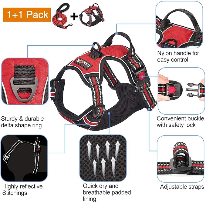 tobeDRI No Pull Dog Harness Adjustable Reflective Oxford Easy Control Medium Large Dog Harness with A Free Heavy Duty 5ft Dog Leash (M (Neck: 14.5"-20.5", Chest: 22"-28"), Red Harness+Leash)