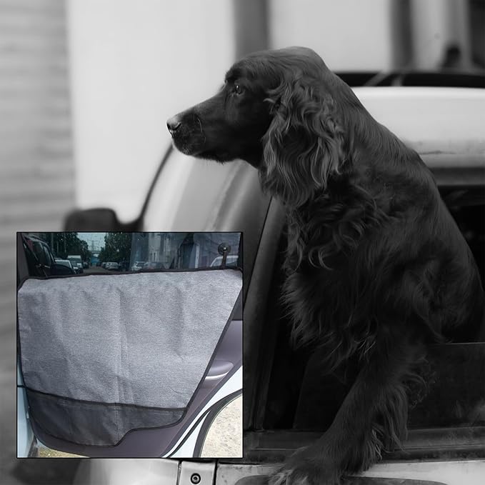 2PCS Car Door Protector