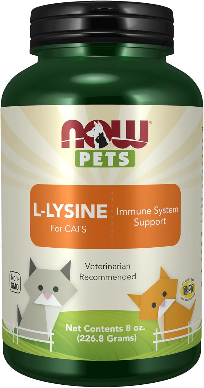 NOW Pet Health, L-Lysine Supplement, Powder, Formulated for Cats, NASC Certified, 8-Ounce