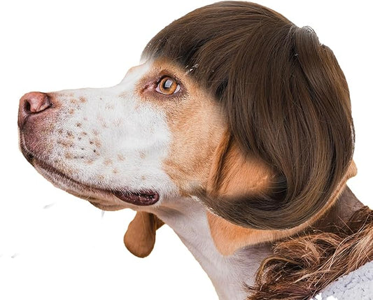 Funny Dog Cat Cosplay Wig Pet Wigs for Small Medium Large Dogs Trimmable Pet Costume Cat Cosplay Decoration for Halloween Christmas Parties Festivals