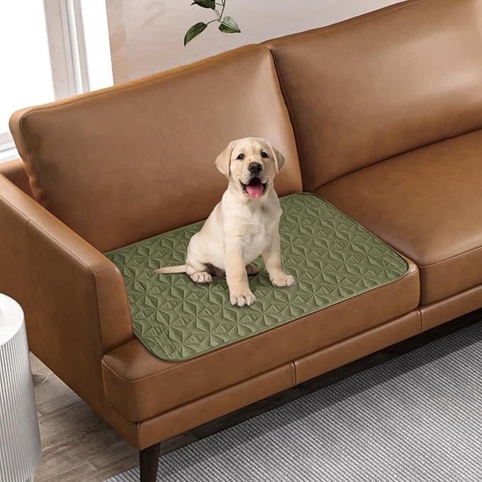 RBSC Home Waterproof Sofa Cover Dog Bed Cover