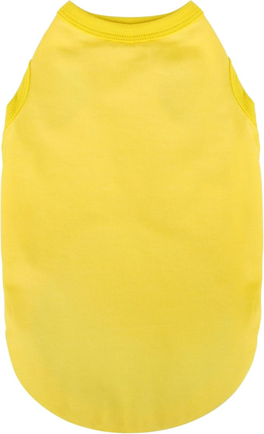 Elevate Your Dog's Fashion Quotient with Colorful and