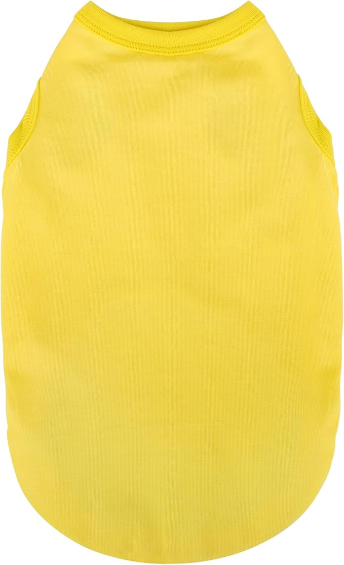 Elevate Your Dog's Fashion Quotient with Colorful and