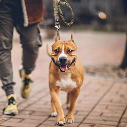 AUROTH Dog Leash Large Dogs 6FT, 2