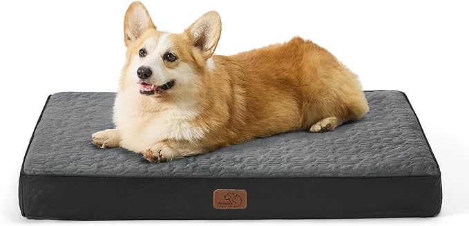 Bedsure Orthopedic Dog Bed for Medium Dogs 2-Layer Thick (30x20x3 Inches),