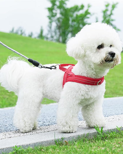 Red Small Dog Harness No Pull Dog Harness for Small Dogs Puppy Harness with Breathable Mesh Padded Adjustable Reflective Lightweight Escape Proof Dog Harness Small Sized Dog Easy Walk (Red, S)