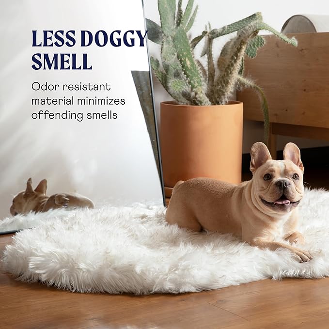 PupRug Orthopedic Dog Bed for Large Dogs with Fluffy Soft Faux Fur and Memory Foam for Joint Pain Relief