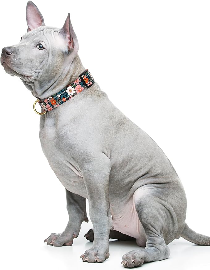 Reflective Dog Collar