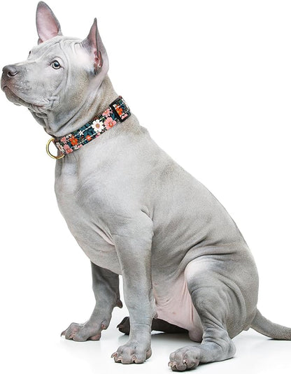 Reflective Dog Collar